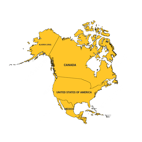 Фото на визу США, Канады и стран Северной Америки